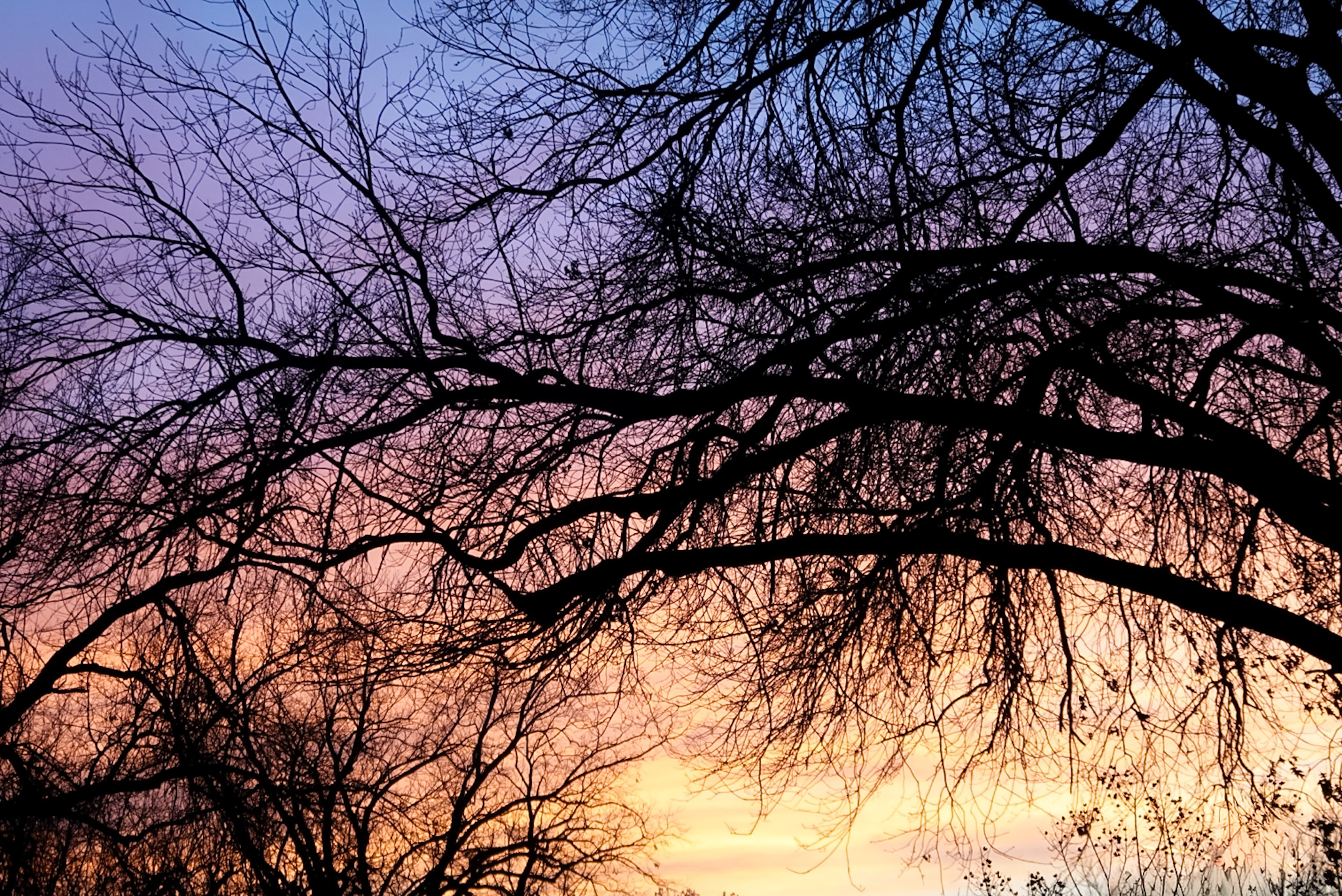 Austin downtown skyline